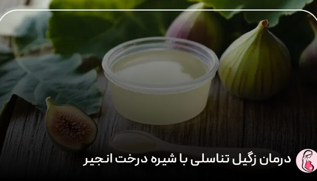 درمان زگیل تناسلی با شیره درخت انجیر