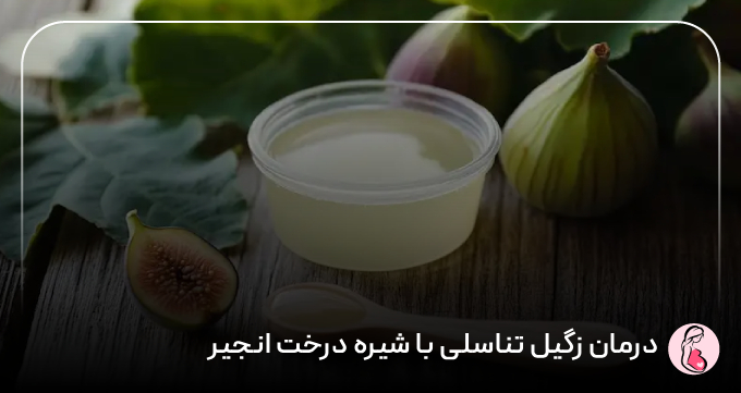 درمان زگیل تناسلی با شیره درخت انجیر