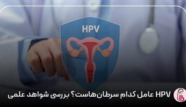 HPV عامل کدام سرطان‌هاست؟ بررسی شواهد علمی