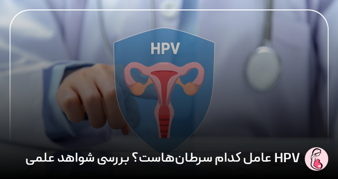 HPV عامل کدام سرطان‌هاست؟ بررسی شواهد علمی